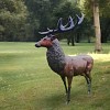 Grand Cerf, statue en bronze - Sculpture animaux de jardin - L. 200 x l. 100 x H. 210 cm