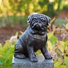 Sculpture chien en bronze - Statue animaux au jardin H. 29 cm