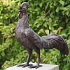 Sculpture coq en bronze - Statue animaux au jardin H. 50 cm