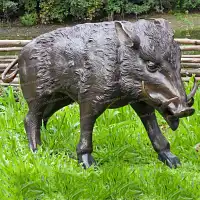 Sculpture Sanglier en bronze - Statue animaux de jardin H. 55cm  Sculpture Sanglier en bronze - Statue animaux de jardin H. 55cm