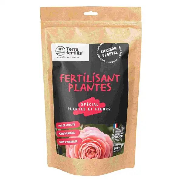 stimulant plante fleur face
