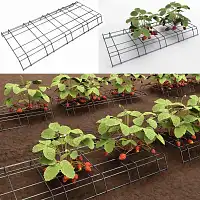 Support fraisier et courgette 70cm
