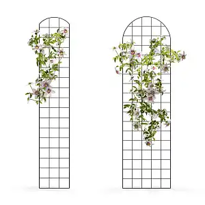 Lien vers un produit variante ou accessoire : Treillis mural - grille pour plante grimpante en acier H. 180cm