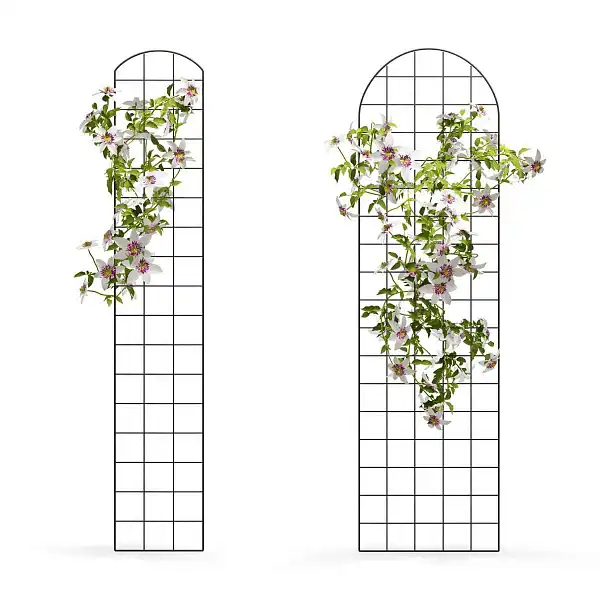 support grille plante grimpante pour mur