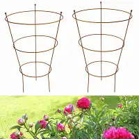 Support à pivoines en fer brut - Haut. 80cm