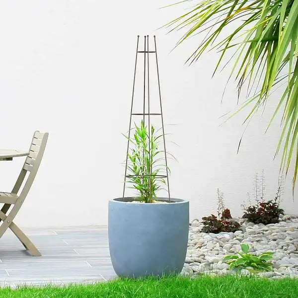 support plante grimpante dafe81