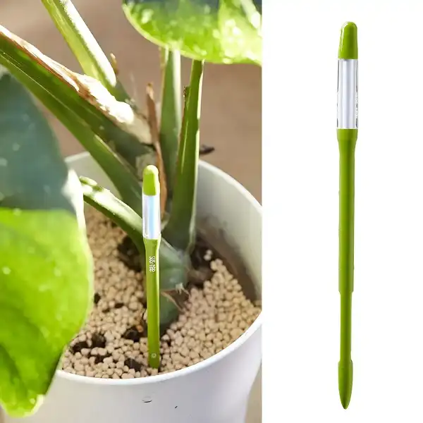 testeur humidite plante interieur