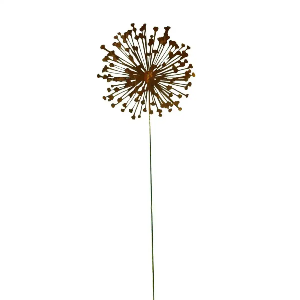 Allium sur tige en métal rouillé  Allium sur tige en métal rouillé