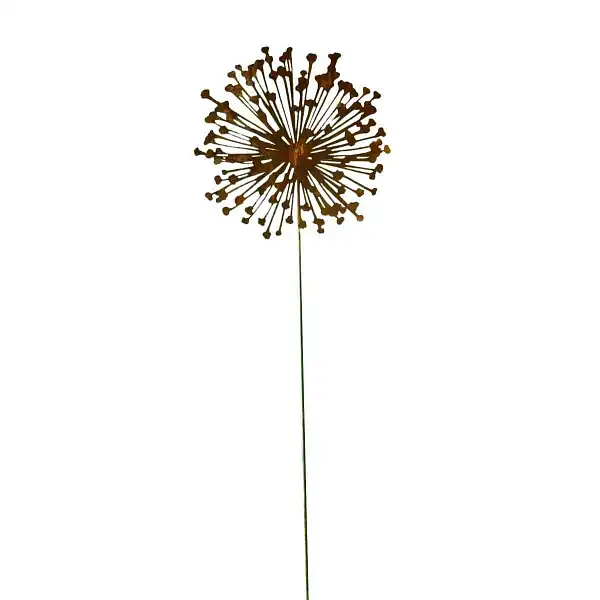 tige allium metal rouille  tige allium metal rouille