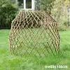 Treillis de protection pour animaux, potager et plantes grimpantes - Manchon