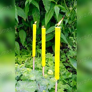 Torche jardin citronnelle 3 lots = 9 torches