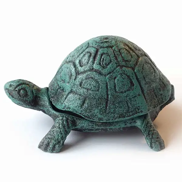 tortue boite mot doux