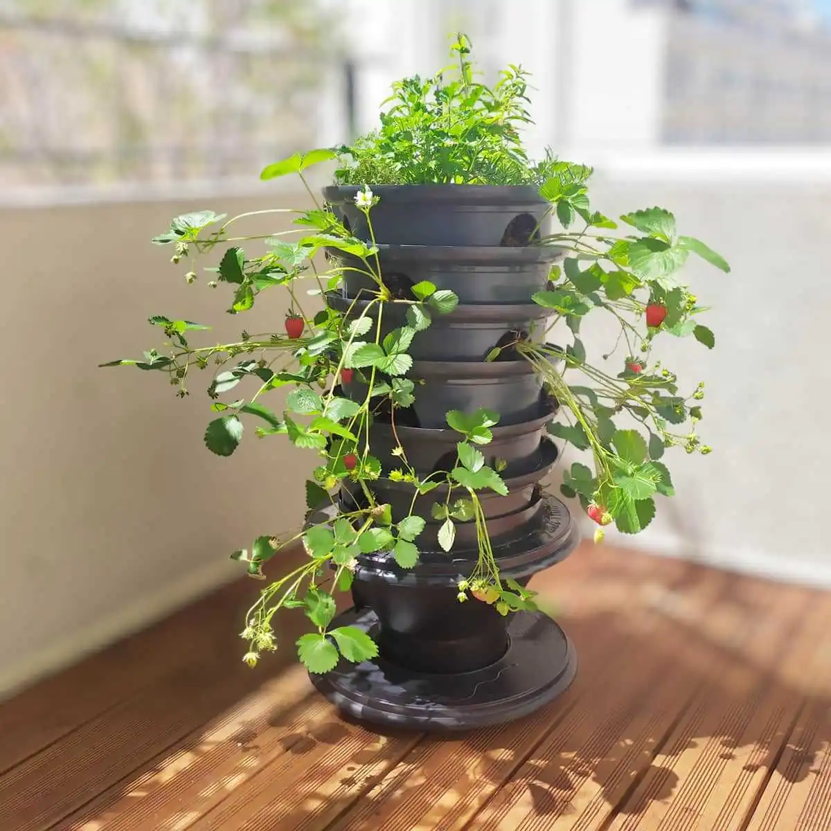 Tour de fraises, jardinière avec lombricomposteur intégré  Tour de fraises, jardinière avec lombricomposteur intégré