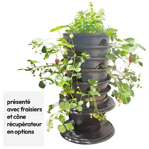 Tour de fraises, jardinière avec lombricomposteur intégré