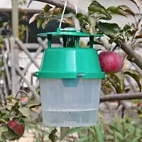 Piège et phéromone carpocapse pommes poires noix