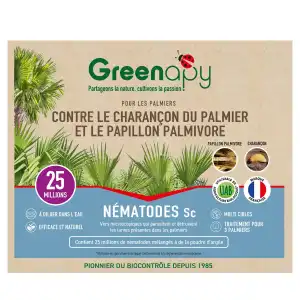 Nématodes contre le charançon rouge du palmier, NemaPalmier