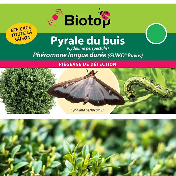 traitement naturel pheromone pyrale buis  traitement naturel pheromone pyrale buis