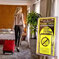 Traitement punaises de lit