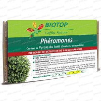 Phéromone Pyrale du buis (2 capsules) courte durée