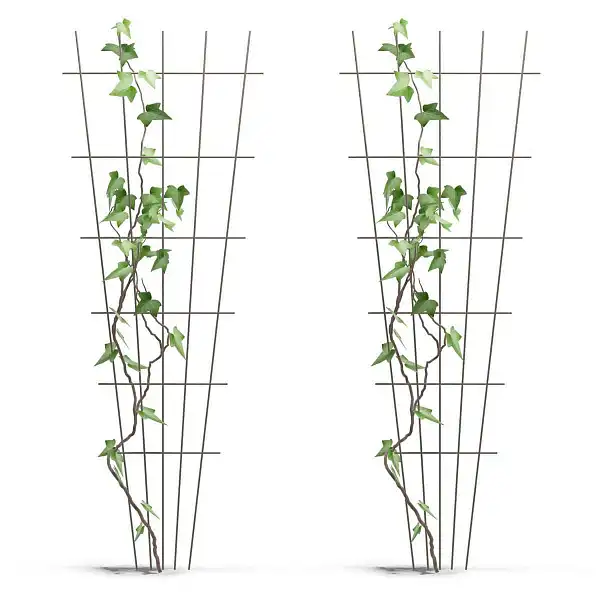 treillage mural rosier lot de 2