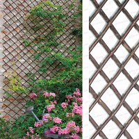 Treillage extensible en osier 0.5m x 1.5m