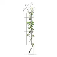 Tuteur treillage en acier pour rosier et plante grimpante avec volutes L. 39,5 x H. 170cm  Tuteur treillage en acier pour rosier et plante grimpante avec volutes L. 39,5 x H. 170cm