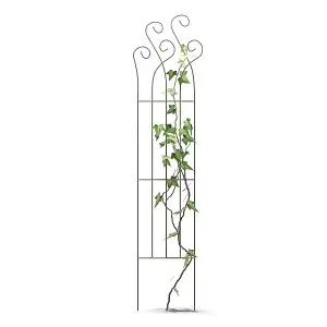 Tuteur treillage en acier pour rosier et plante grimpante avec volutes L. 39,5 x H. 170cm  Tuteur treillage en acier pour rosier et plante grimpante avec volutes L. 39,5 x H. 170cm