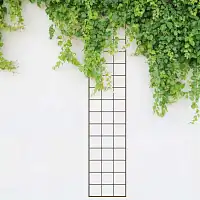 Tuteur treillage rectangle rosier et grimpante marron - L. 150 x l. 30 cm