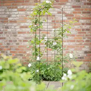 Treillis mural pour plante grimpante - grille ogive avec boule - l. 45 x H. 170cm  Treillis mural pour plante grimpante - grille ogive avec boule - l. 45 x H. 170cm