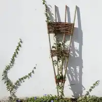 Treillis éventail en noisetier tressé d'osier