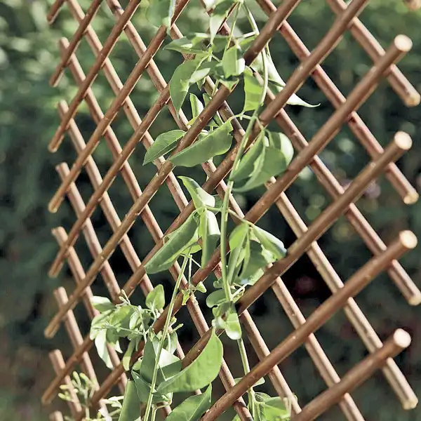 treillis extensible osier treillis extensible osier