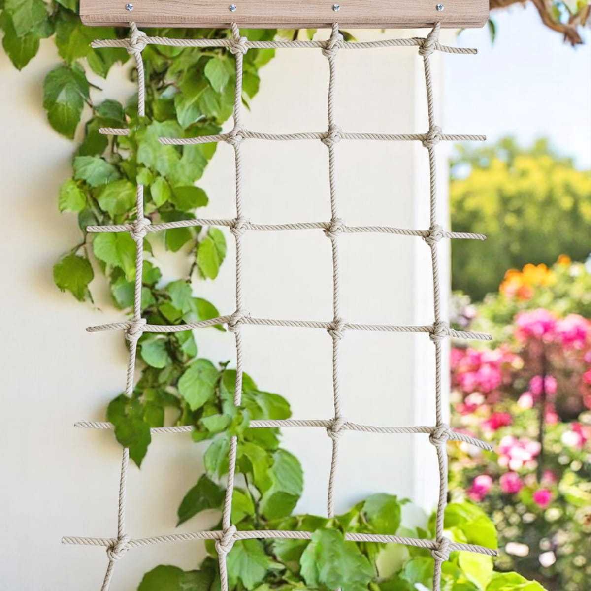 treillis filet deco plante grimpante