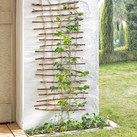 Treillis en bois et corde pour plante grimpante et décoration murale - Branches osier et corde jute H.200cm