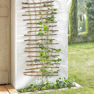 Treillis en bois et corde pour plante grimpante et décoration murale - Branches osier et corde jute H.200cm