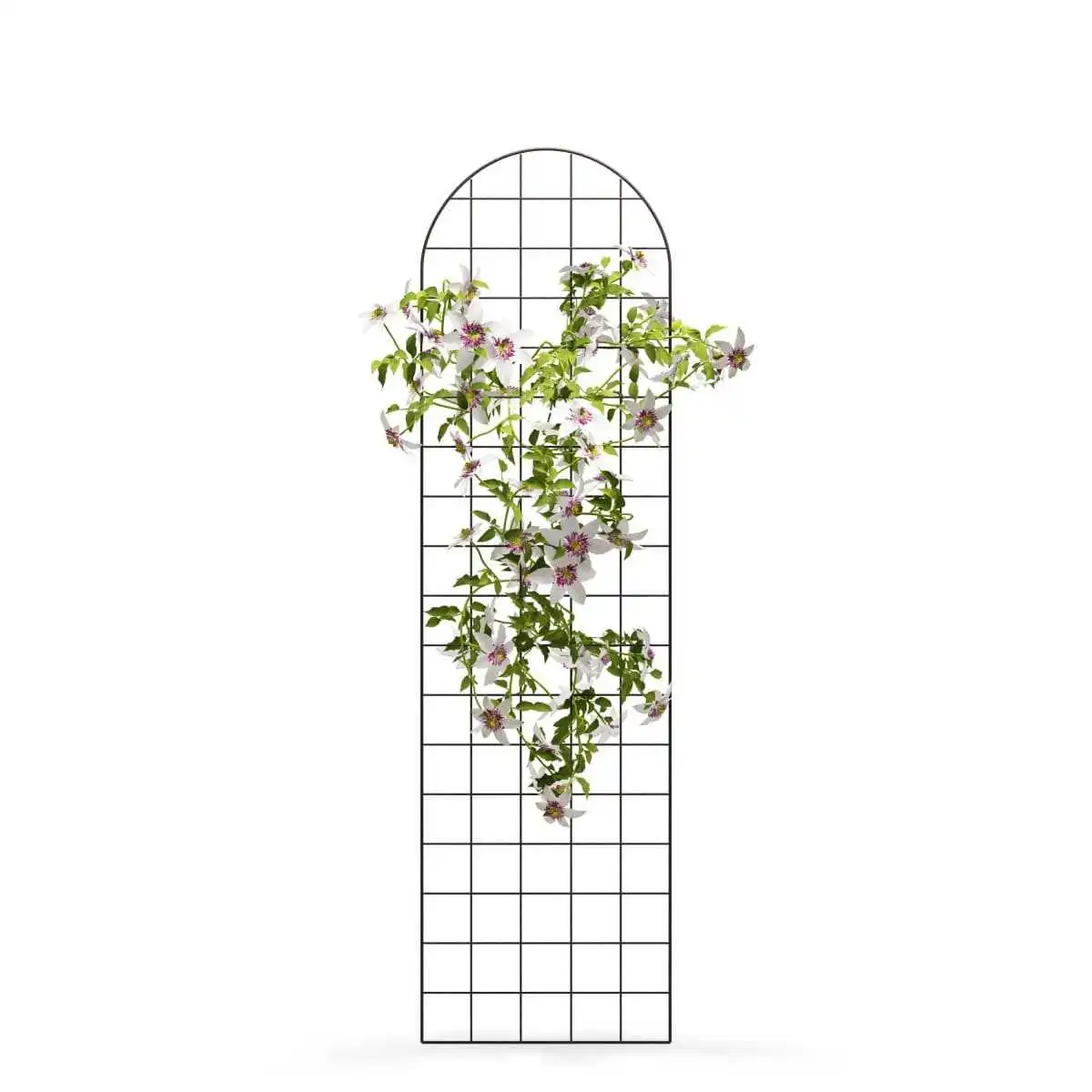 Treillis mural - grille pour plante grimpante en acier L.50 x H.180cm  Treillis mural - grille pour plante grimpante en acier L.50 x H.180cm