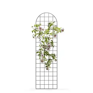 Treillis mural - grille pour plante grimpante en acier L.50 x H.180cm
