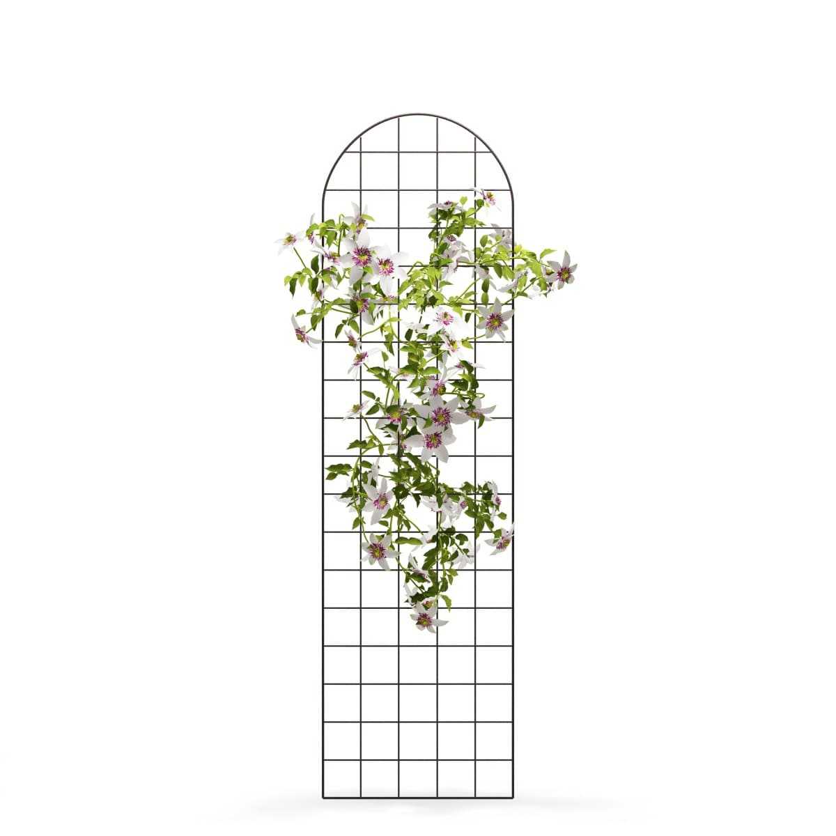 Treillis Mural Extensible Pour Plantes Grimpantes - 1,8 M X 30 Cm - PVC Vert, Pour Séparer Parterres Et Protéger Des Petits Animaux