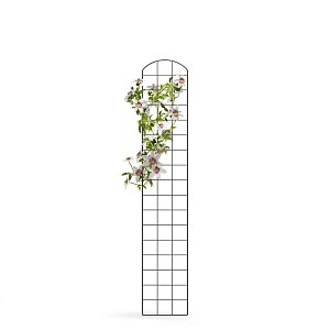 Lien vers un produit variante ou accessoire : Treillis mural - grille pour plante grimpante en acier L. 30 x H. 170cm