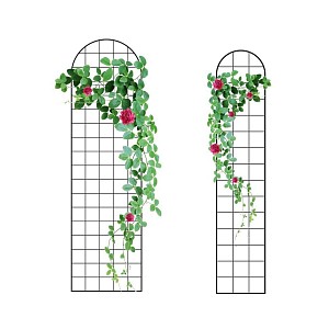 Rylod Support pour plantes grimpantes, treillis de jardin en acier  inoxydable, cadre assemblé pour plantes grimpantes, 1,7 m, noir