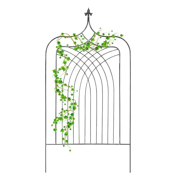 trellis brut support plante  trellis brut support plante