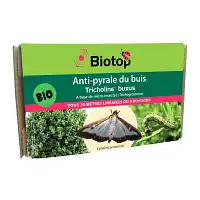 Trichogrammes Trichotop Buxus contre la Pyrale du buis (4 diffuseurs)  Trichogrammes Trichotop Buxus contre la Pyrale du buis (4 diffuseurs)