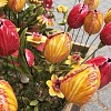 Fleur en céramique sur tige à planter - Tulipe jaune
