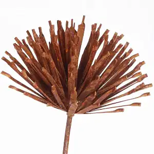Tuteur fleur Allium en fer brut 25cm