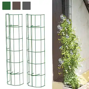 Tuteur cache gouttière clipsable