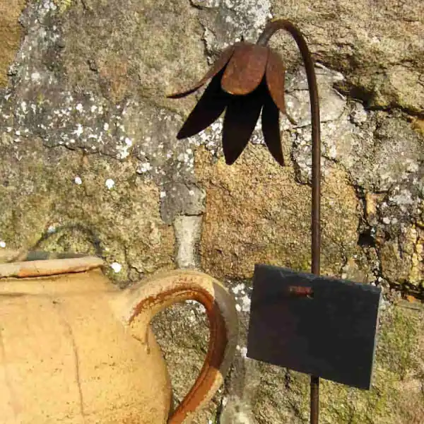 tuteur campanule  tuteur campanule