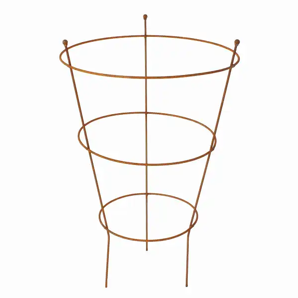 tuteur cercle pivoine