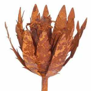 Tuteur fleur Chardon en fer brut 30cm