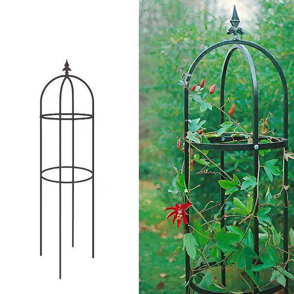 tuteur colonne obelisque 2 anneaux