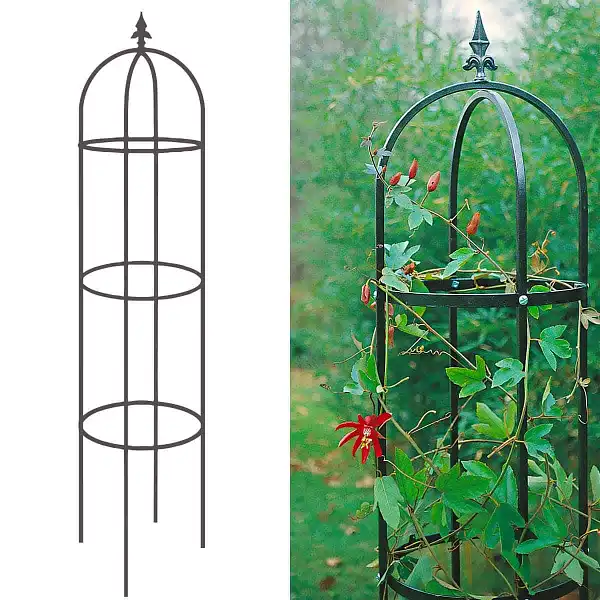 tuteur colonne obelisque floral 3 anneaux tuteur colonne obelisque floral 3 anneaux