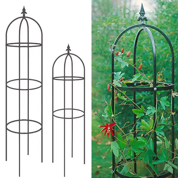 tuteur colonne obelisque floral